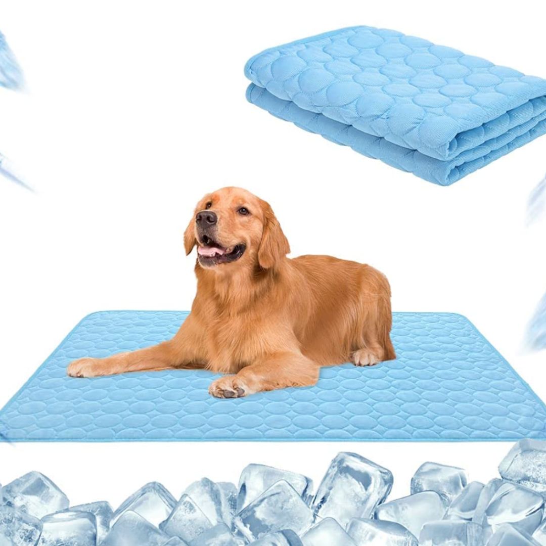 🐾 50% RABATT! ❄️ Premium Kühlmatte für Hunde & Katzen – Atmungsaktiv & waschbar – Perfekt für heiße Tage, Boden oder Sofa – bringt natürliche Abkühlung ohne Strom 🌿☀️