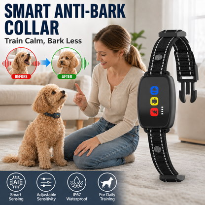 🛡️🐾 50 % RABATT! Antibellhalsband – Intelligenter Anti-Fehlalarm filtert andere Belllaute heraus. Wasserdicht (IP67) und per USB aufladbar – sorgenfreies Training überall! 💦✅