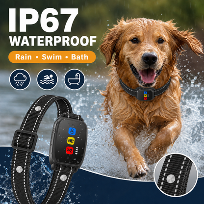 🛡️🐾 50 % RABATT! Antibellhalsband – Intelligenter Anti-Fehlalarm filtert andere Belllaute heraus. Wasserdicht (IP67) und per USB aufladbar – sorgenfreies Training überall! 💦✅