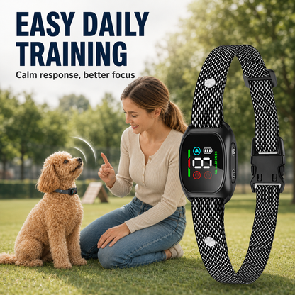 🛡️🐾 50 % RABATT! Antibellhalsband – Intelligenter Anti-Fehlalarm filtert andere Belllaute heraus. Wasserdicht (IP67) und per USB aufladbar – sorgenfreies Training überall! 💦✅