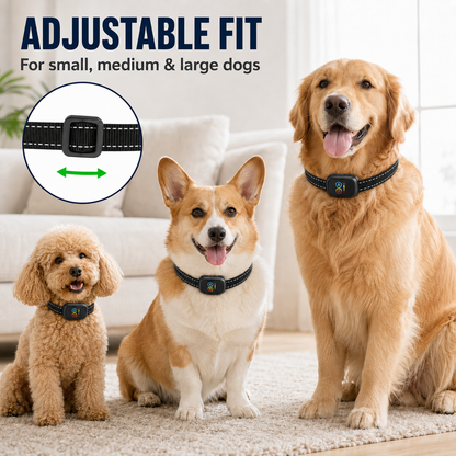 🛡️🐾 50 % RABATT! Antibellhalsband – Intelligenter Anti-Fehlalarm filtert andere Belllaute heraus. Wasserdicht (IP67) und per USB aufladbar – sorgenfreies Training überall! 💦✅