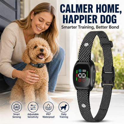 🛡️🐾 50 % RABATT! Antibellhalsband – Intelligenter Anti-Fehlalarm filtert andere Belllaute heraus. Wasserdicht (IP67) und per USB aufladbar – sorgenfreies Training überall! 💦✅