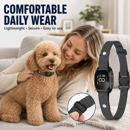 🛡️🐾 50 % RABATT! Antibellhalsband – Intelligenter Anti-Fehlalarm filtert andere Belllaute heraus. Wasserdicht (IP67) und per USB aufladbar – sorgenfreies Training überall! 💦✅