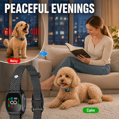 🛡️🐾 50 % RABATT! Antibellhalsband – Intelligenter Anti-Fehlalarm filtert andere Belllaute heraus. Wasserdicht (IP67) und per USB aufladbar – sorgenfreies Training überall! 💦✅